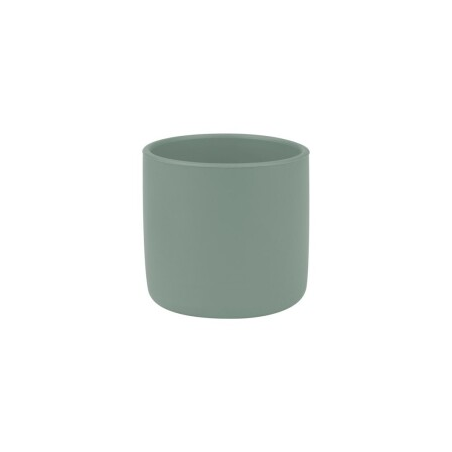 MINI CUP VERDE RIVER
