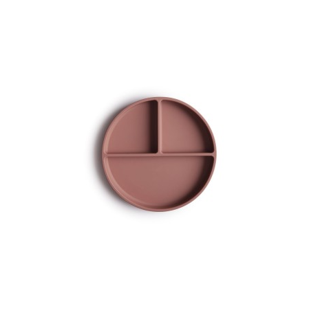 PLATO VENTOSA-COMPARTIMENTOS SOLID CLOUDY MAUVE
