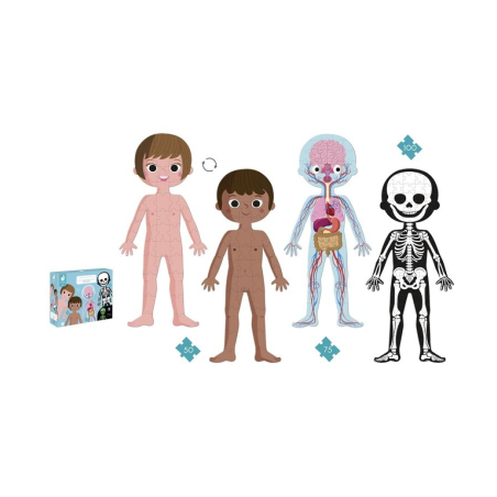 PUZZLE EDUCATIVO EL CUERPO HUMANO
