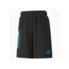 Puma Power Summer Shorts Fr