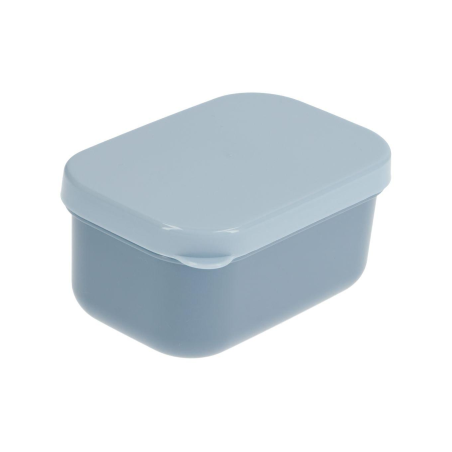 CAJITA PARA FRUTA NEW BLUE